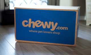 The Rise Of eCommerce Platforms For Pets, Apparel
