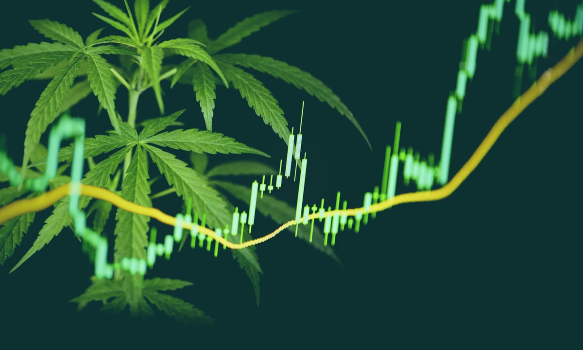 Dama Debuts Payroll Solution For Cannabis Companies