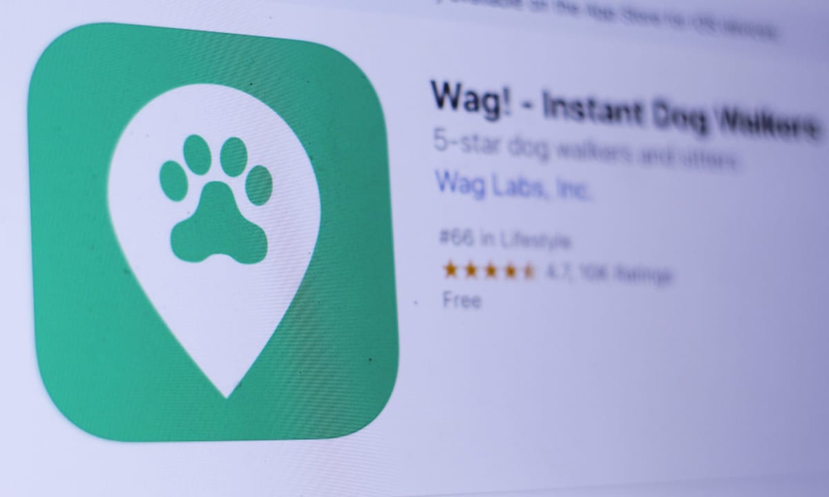 Wag! Goes To The Dog(ecoin)s, Via BitPay