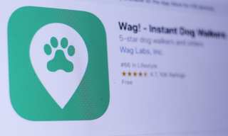 Wag! Goes To The Dog(ecoin)s, Via BitPay