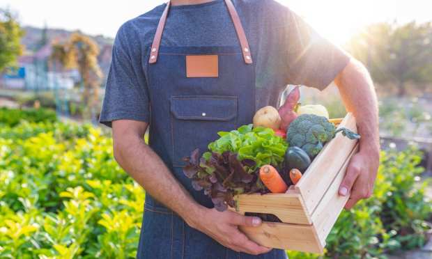 Funding Pours In For Food Sustainability Efforts As Consumers Seek Eco-Conscious Options