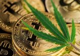 Bitcoin Daily: RocketFuel Makes Crypto One-Click Pay Available For Cannabis Industry; Tesla Retains Its $1.3B Bitcoin Investment