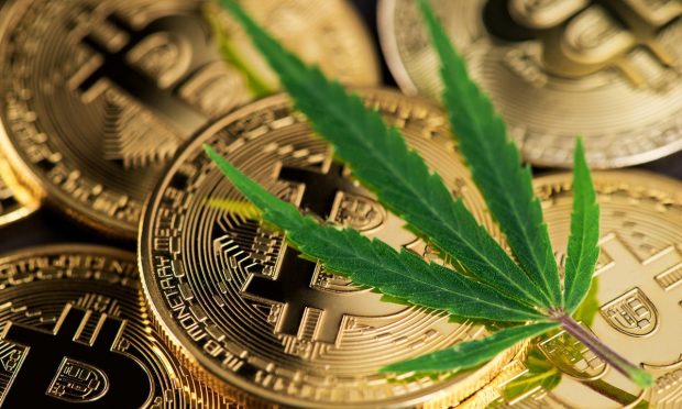 Bitcoin Daily: RocketFuel Makes Crypto One-Click Pay Available For Cannabis Industry; Tesla Retains Its $1.3B Bitcoin Investment