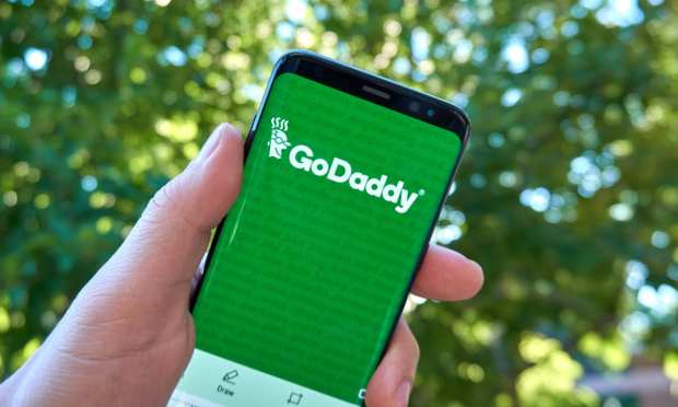GoDaddy Teams With Google For Wider Merchant Exposure