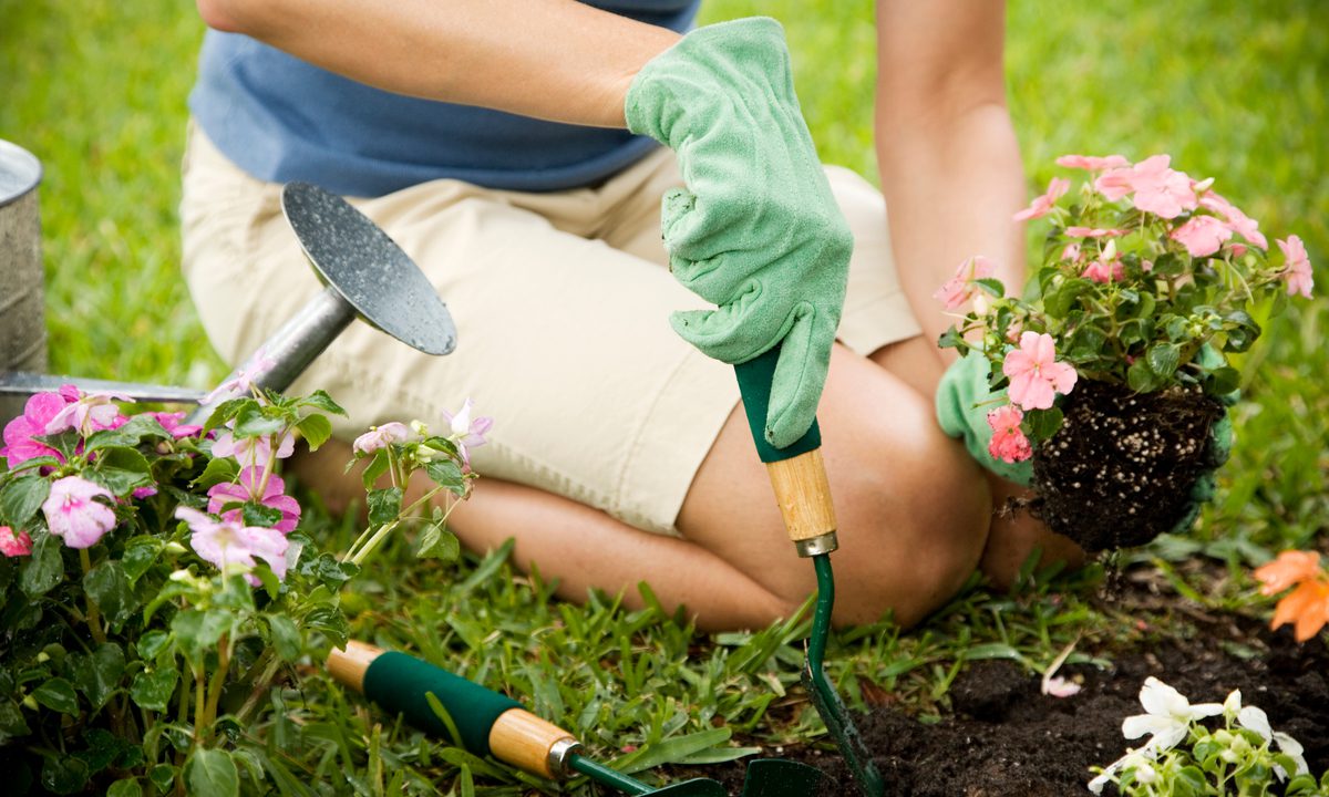 UK Gardening Tech Startup Sproutl Nets $9M, Launches Online Marketplace