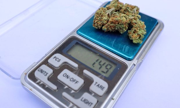 B2B Payments Today: Cannabis Digital Infrastructure Growing; Data Shows SMBs Turn To Digital