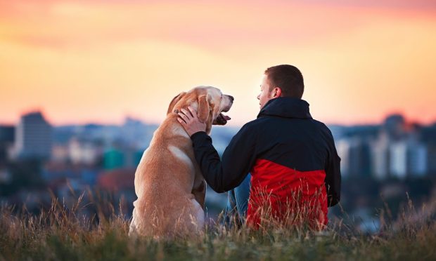 How D2C Mail-In Doggie DNA Kits Turn Data Into Research That Helps Dogs Live Longer