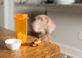 Mixlab Notches $20M For Modern Pet Pharmacy