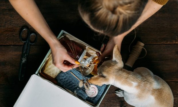 45 Pct Of Gen Z Subscribers Used Only D2C Subscriptions In Q2 2021