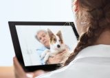Telehealth - Vet - Pet Care