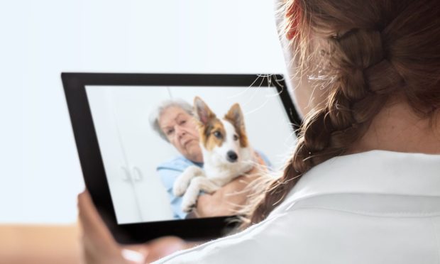 Telehealth - Vet - Pet Care