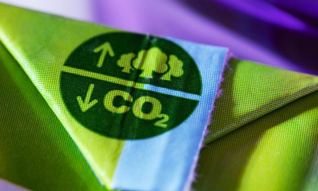 Sustainable Package-Free Shipping Startup Olive Moves Into Beauty Space