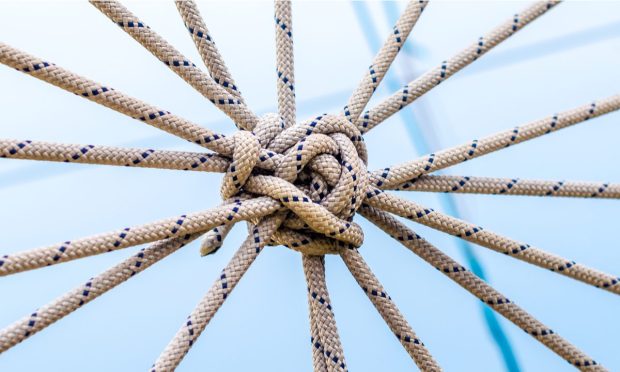 Unraveling Opaque Web Of Corporate Ownership Helps FIs Expand Business Opportunities