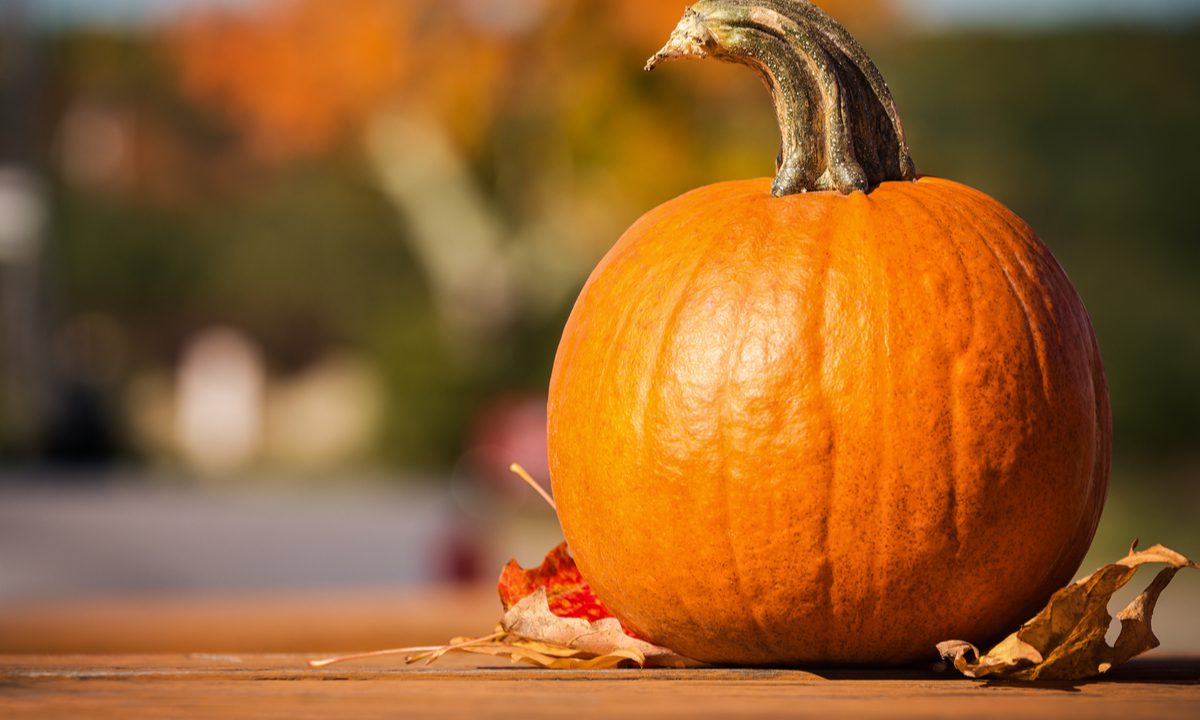 Uber Eats Rolls Out Pumpkin Delivery Pymnts Com