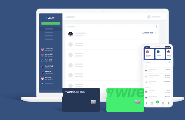 Wise Intros Flexible Assets Investment Feature to UK Users