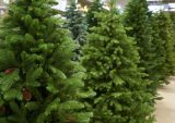 Supply Chain Issues Could Hamper Artificial Christmas Tree Sellers