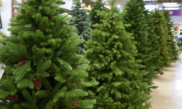 Supply Chain Issues Could Hamper Artificial Christmas Tree Sellers