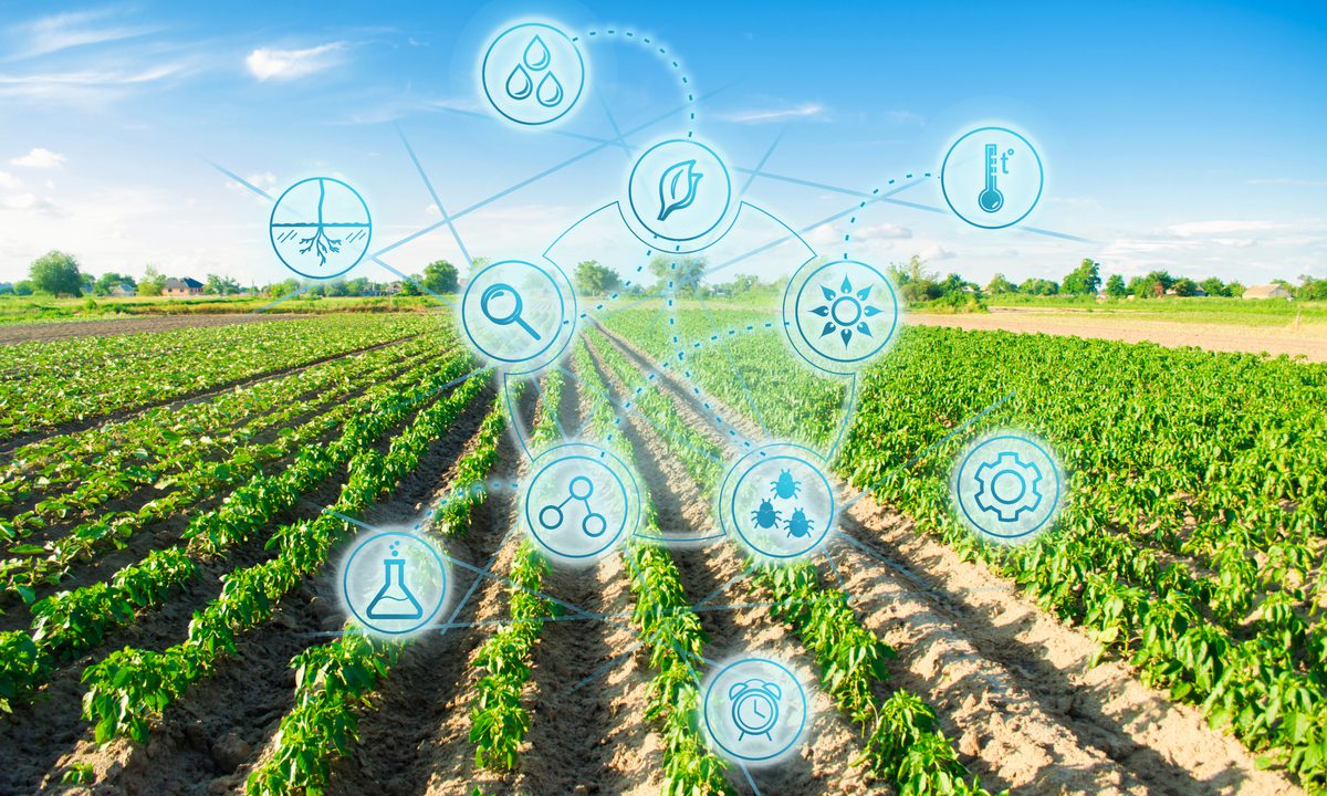 Food Digest: GrubMarket Serves Digital Farmers With Farmigo Tie-Up; MarginEdge Lands Funds to Cater to Eatery Operators