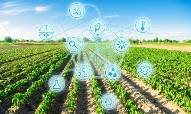 Food Digest: GrubMarket Serves Digital Farmers With Farmigo Tie-Up; MarginEdge Lands Funds to Cater to Eatery Operators