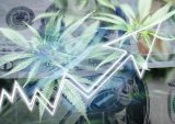 House Passes Cannabis Banking Initiative as Part of Defense Bill