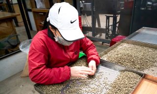 Vietnam COVID Crisis Cripples Coffee, Retail Supply Chains