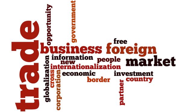 B2B Marketplace VertoFX: From Currency Convertibility to Cross-Border Payments in Emerging Markets