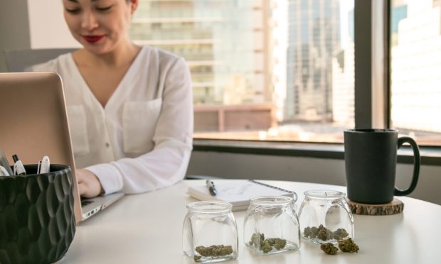 CUSO HigherGrowth to Enable Cannabis Business Banking Services