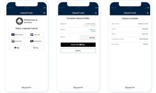 PayNearMe Launches MoneyLine iGaming Tool