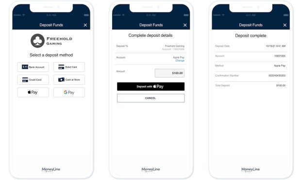 PayNearMe Launches MoneyLine iGaming Tool