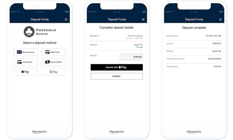 MoneyLine - PayNearMe
