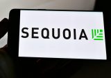 Sequoia Capital to Focus on AI Companies Utilizing Foundation Models