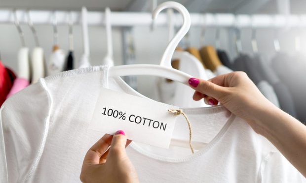 Cotton Apparel Retail