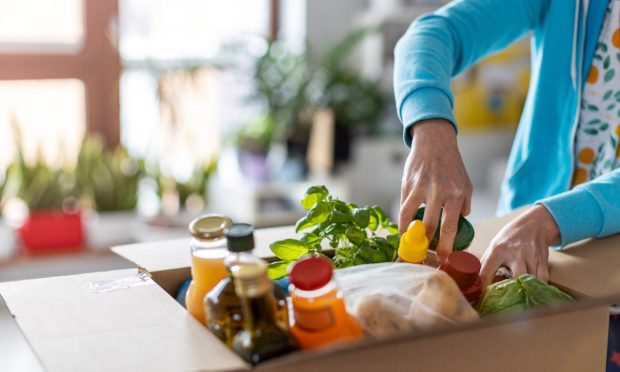 Grocery Ordering, Curbside and Delivery Seeking Their Own Levels With Digital Shoppers