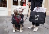 Petco Opens Reddy Boutique for Dogs in NYC