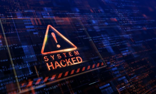 Warren Calls for Stronger Ransomware Law