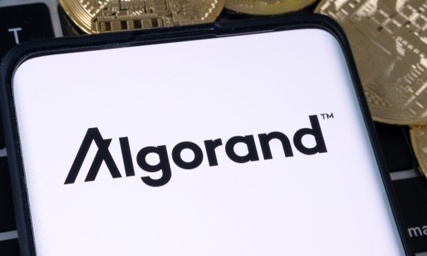 Borderless Capital Debuts $500M Fund for DeFi, NFT Investments Built on Algorand Blockchain