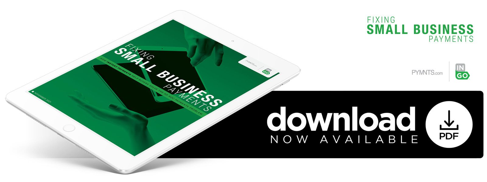 Fixing Small Business Payments Ad Hoc Payments Solutions Instant Payment Solutions