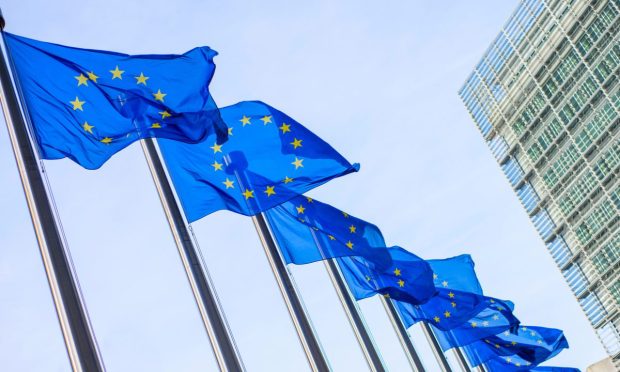 As EU Rewrites the Rules on Censoring Illegal Content, Battle Lines Are Drawn