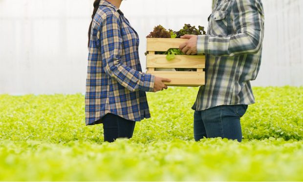 Nisun International, Haikou Jinlvguo Collab on Agriculture Supply Chain Solutions