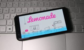 Insurtech Lemonade Expands Pet Coverage to Massachusetts