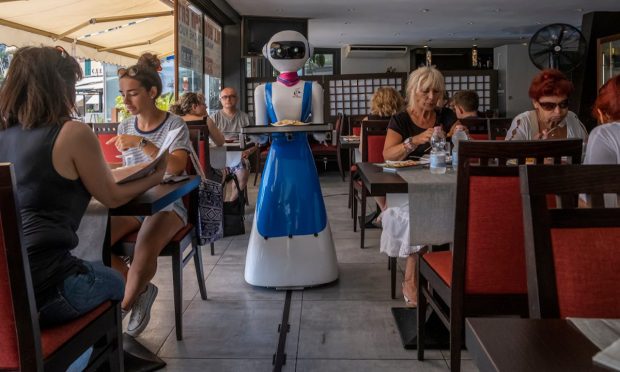 Restaurants Tapping Robot Servers Risk Repeating Past Mistakes