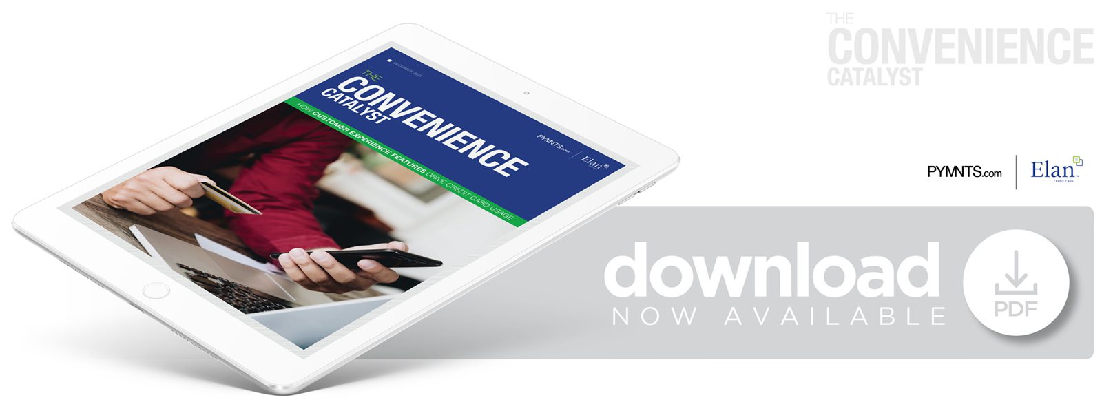 Download The Convenience Catalyst: How Customer Experience Features Drive Credit Card Usage to learn more about consumer use of credit cards