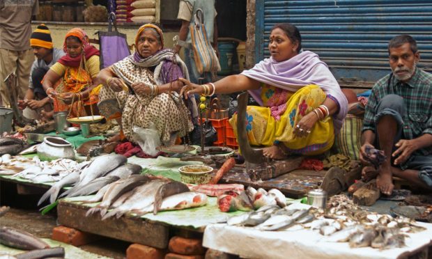 Indian AI Seafood Market Startup Captain Fresh Raises $40M 