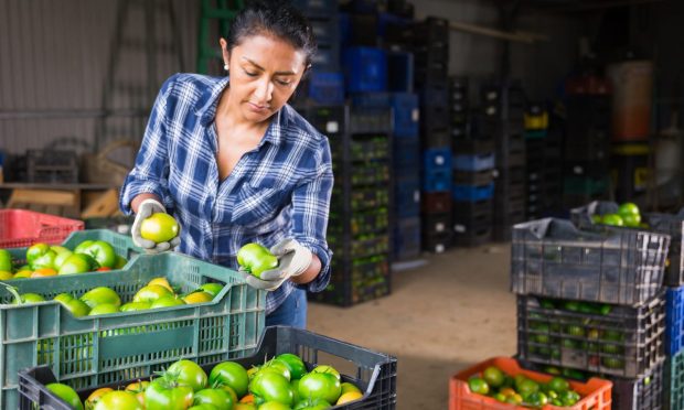 FinTechs Offer LATAM SMBs Speedy Access to Credit in Emerging Markets