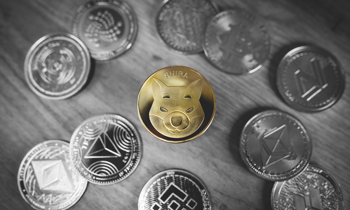 Flexa Payment Network Adds Shiba Inu Option