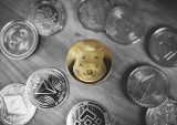 Flexa Payment Network Adds Shiba Inu Option