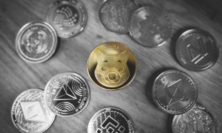 Flexa Payment Network Adds Shiba Inu Option