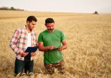 UK AgTech Firms Use AI, New Technology to Reduce Labor Costs, Improve Food Production