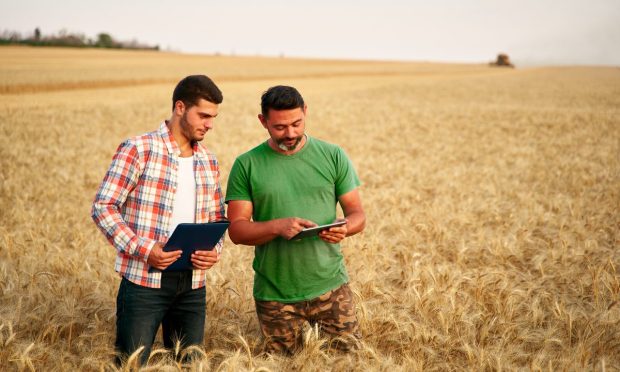UK AgTech Firms Use AI, New Technology to Reduce Labor Costs, Improve Food Production