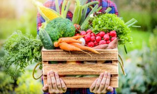 Full Harvest Gets $23M Investment for Surplus Food Market